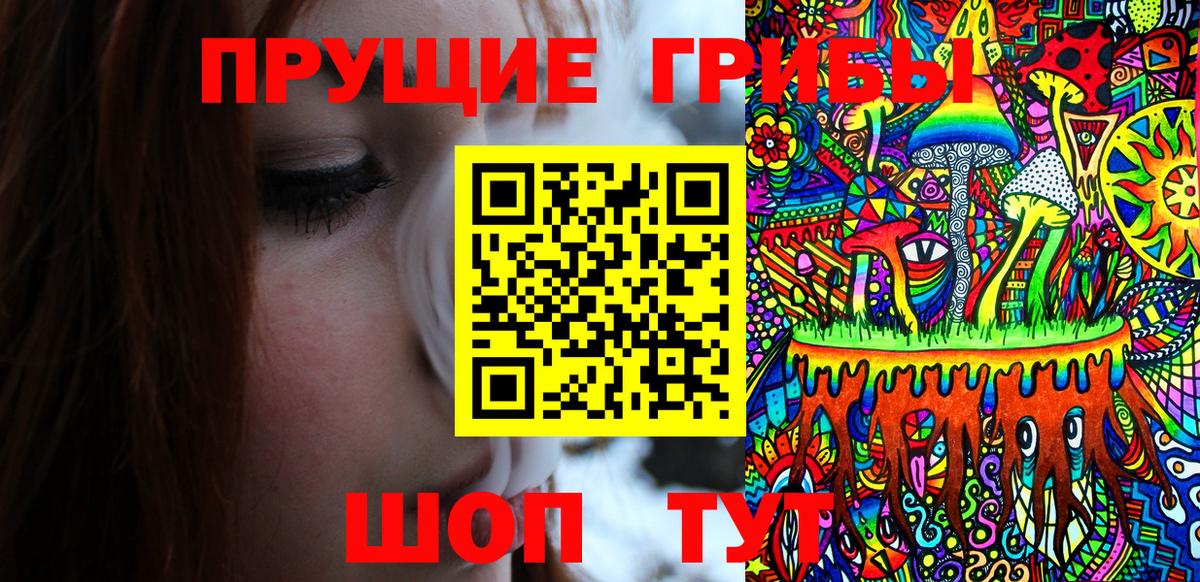 купить наркотик  Галлюциногенные грибы мицелий  Галлюциногенные грибы MAGIC MUSHROOMS  Вход с VPN  Пугачёв 